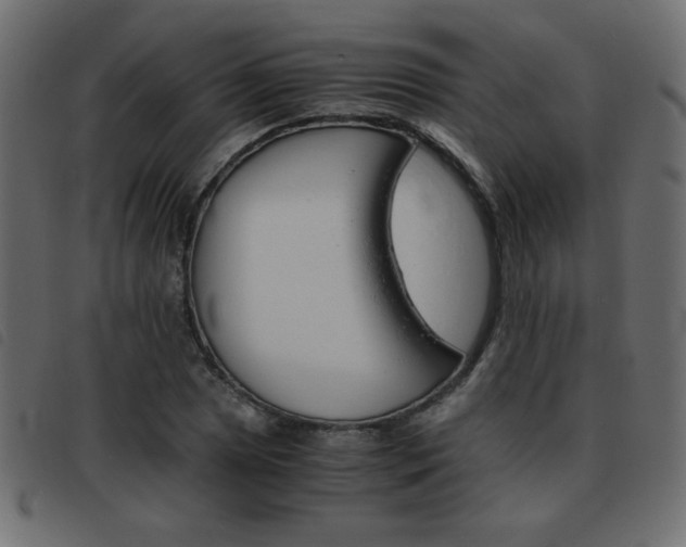 X0000093461025200710120945
