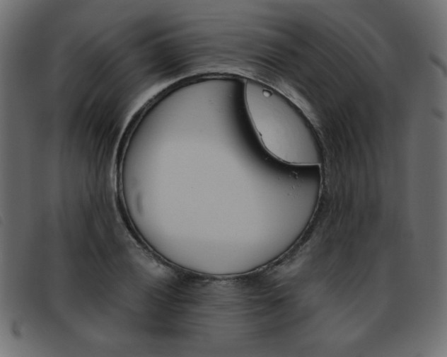 X0000093461028200710120945