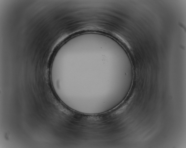 X0000093461029200710120945