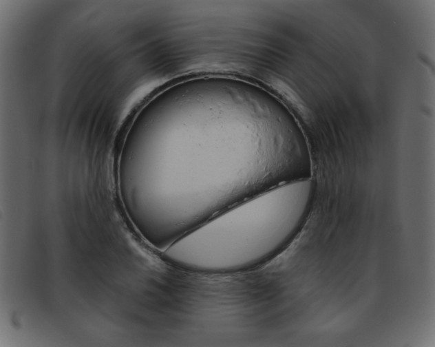 X0000093461030200710120945