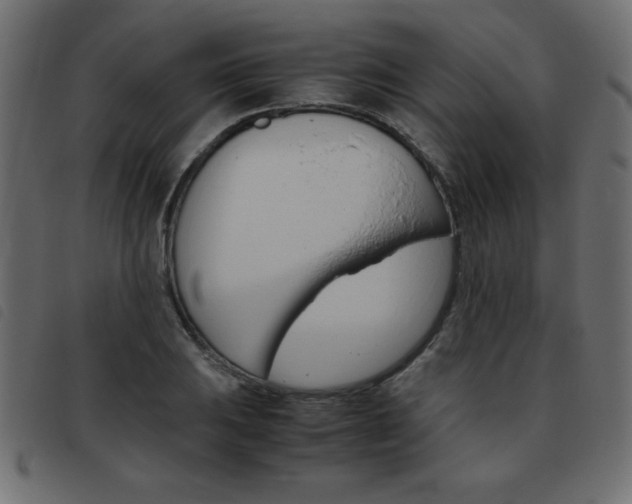 X0000093461031200710120945