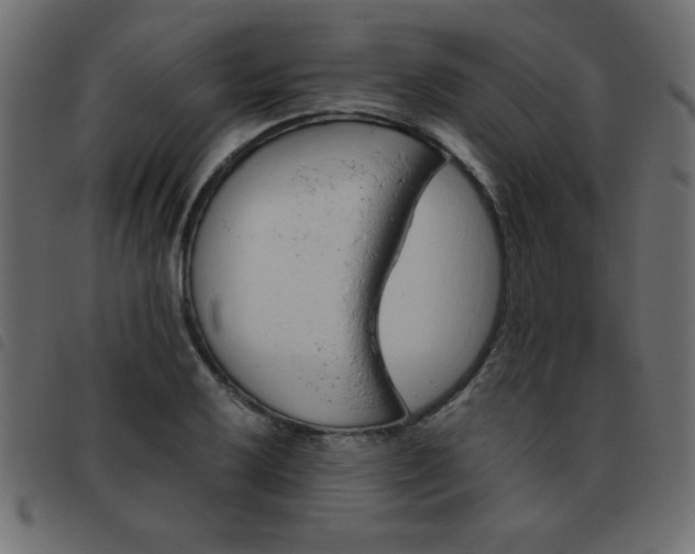 X0000093461032200710120945