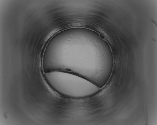 X0000093461034200710120945