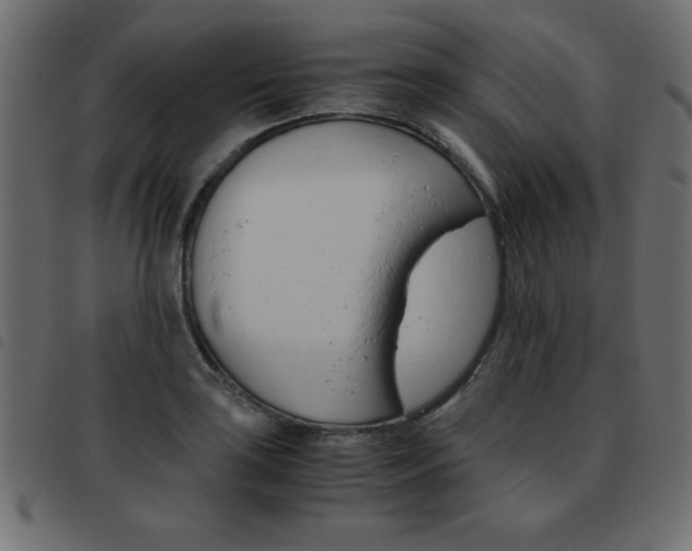 X0000093461035200710120945