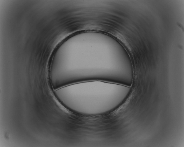 X0000093461037200710120945