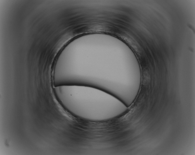 X0000093461039200710120945