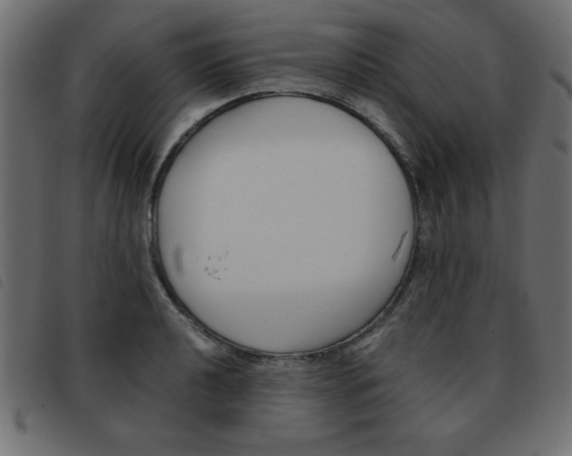 X0000093461040200710120945