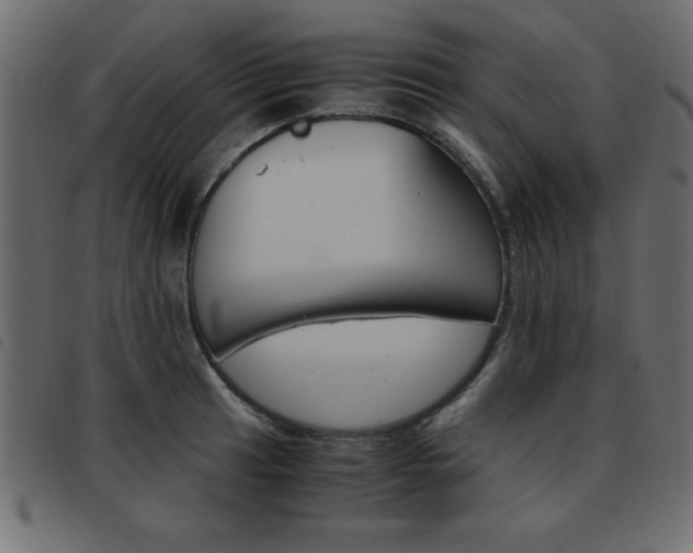 X0000093461041200710120945
