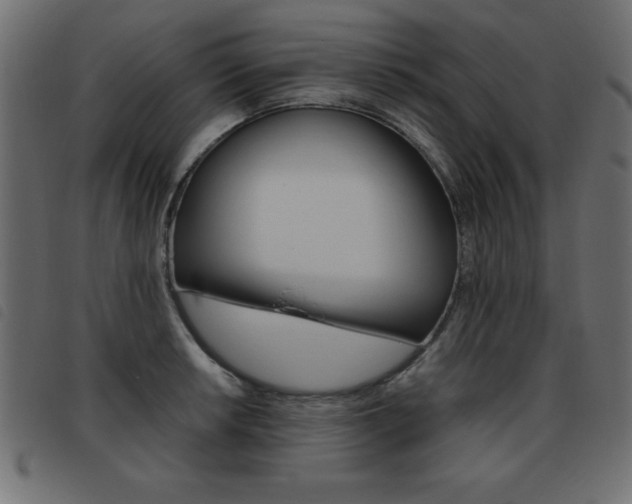 X0000093461042200710120945