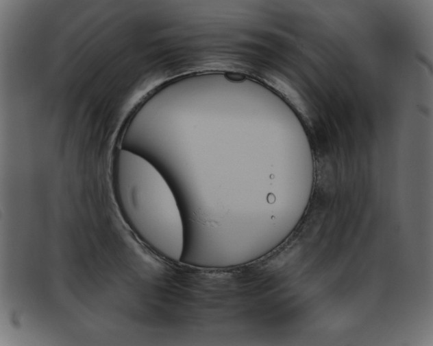 X0000093461043200710120945