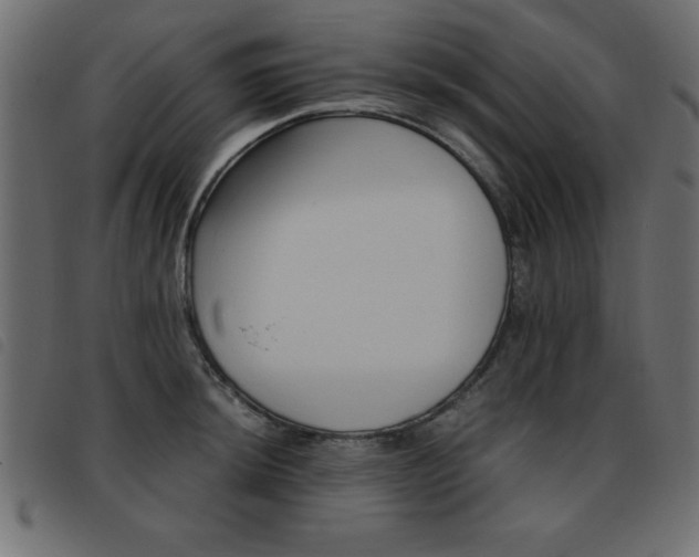 X0000093461044200710120946