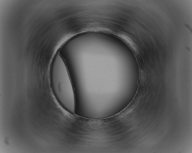X0000093461046200710120946