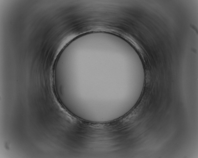 X0000093461048200710120946