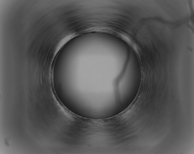 X0000093461050200710120946