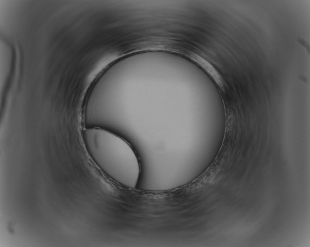 X0000093461051200710120946