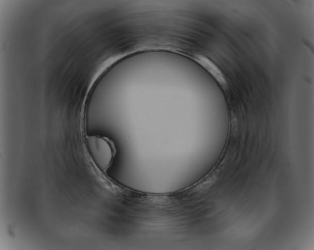 X0000093461052200710120946