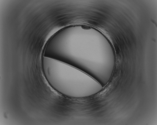 X0000093461053200710120946