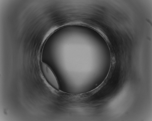 X0000093461054200710120946