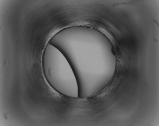 X0000093461055200710120946