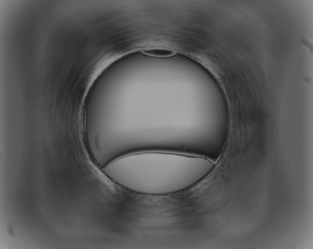 X0000093461056200710120946
