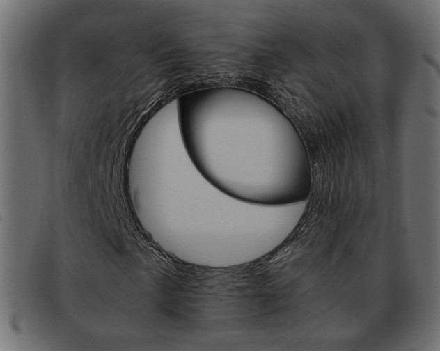 X0000093461057200710120945