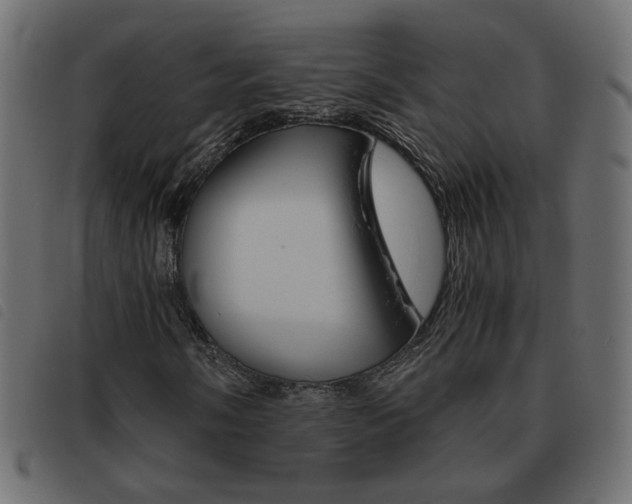 X0000093461058200710120945