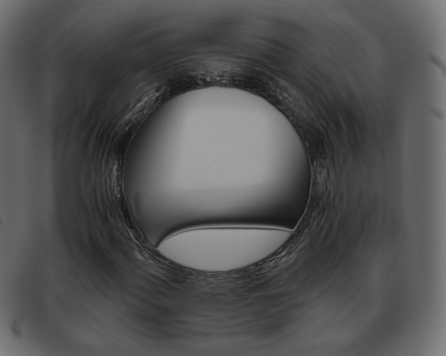 X0000093461060200710120945