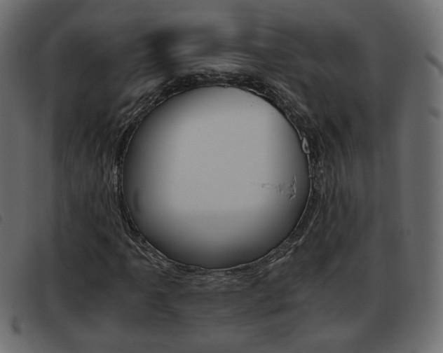 X0000093461061200710120945
