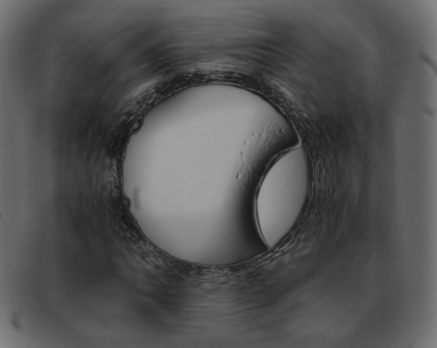 X0000093461062200710120945