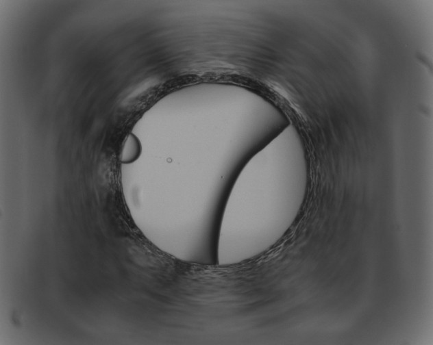 X0000093461063200710120945