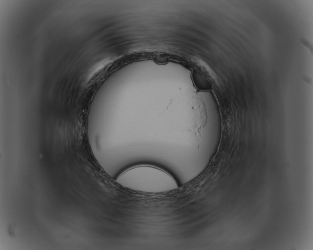X0000093461064200710120945