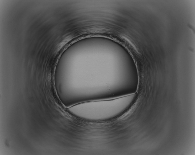 X0000093461065200710120945