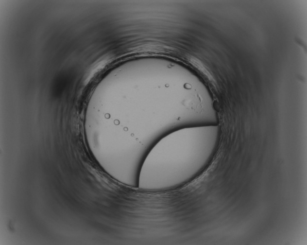 X0000093461067200710120945