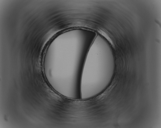 X0000093461068200710120945