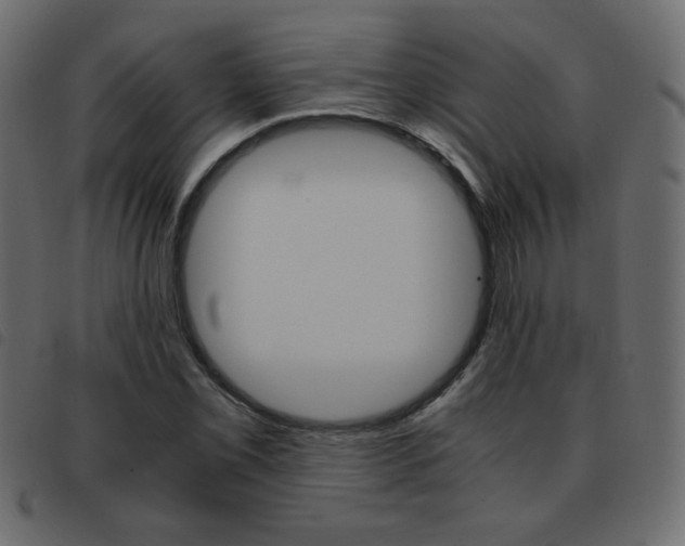 X0000093461069200710120945