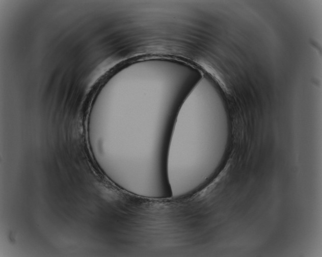 X0000093461070200710120945
