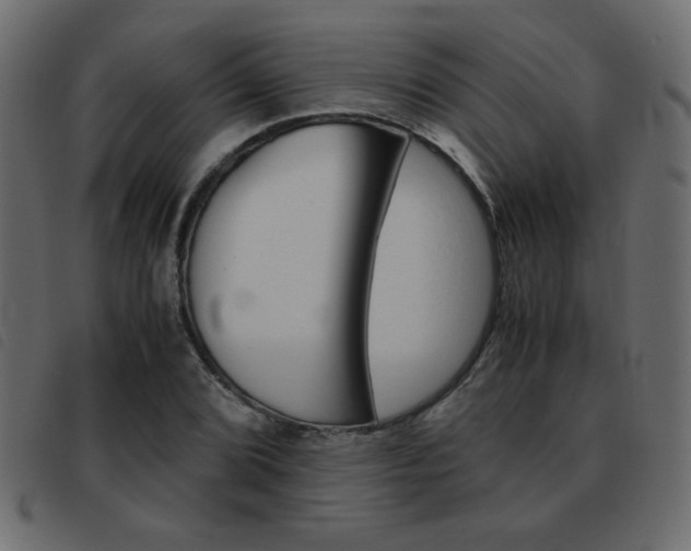 X0000093461072200710120945