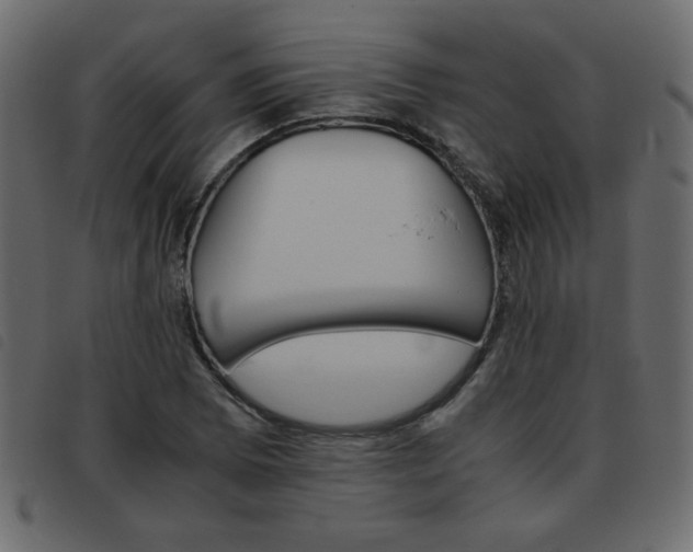 X0000093461073200710120945