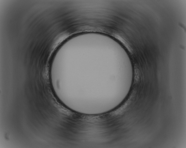 X0000093461074200710120945