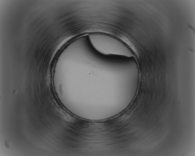 X0000093461076200710120945