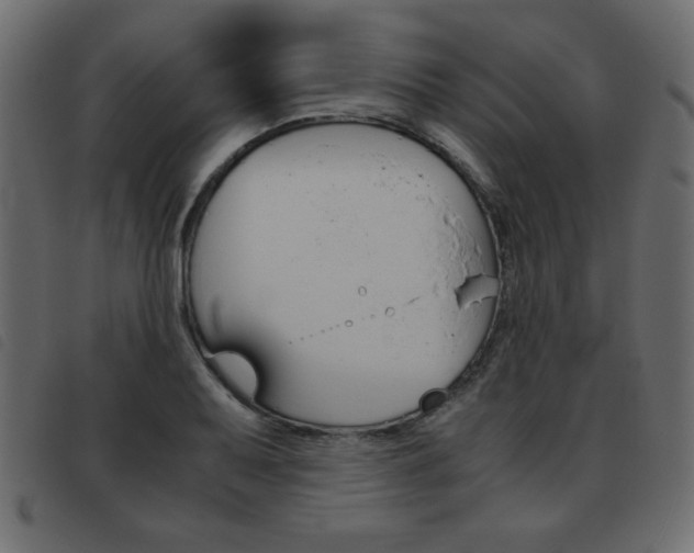 X0000093461079200710120945