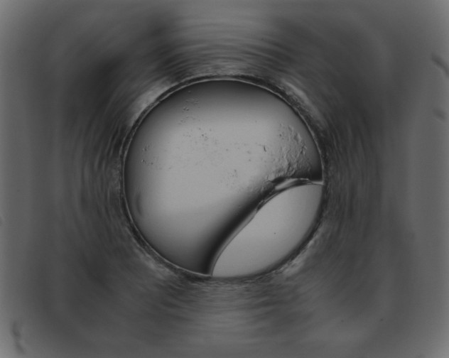 X0000093461081200710120945