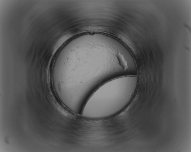 X0000093461082200710120945