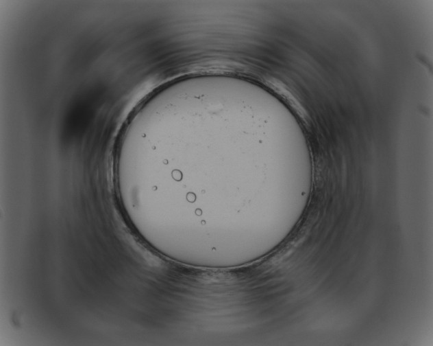 X0000093461083200710120945