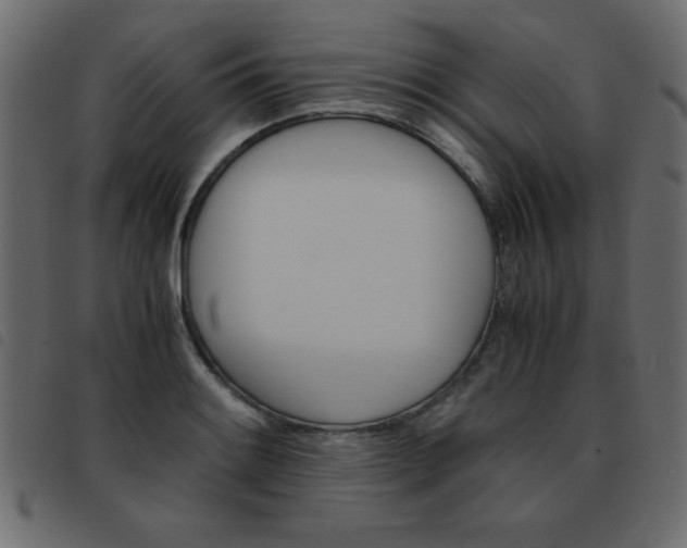 X0000093461084200710120945