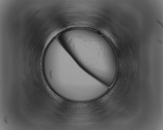 X0000093461085200710120945