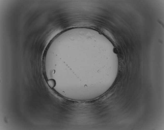 X0000093461087200710120945