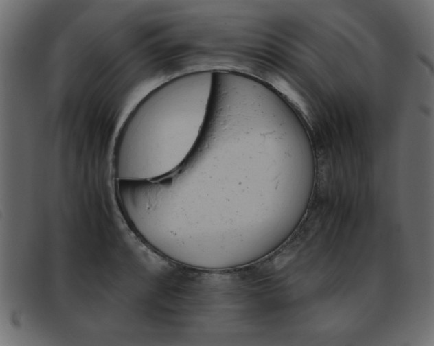 X0000093461088200710120945