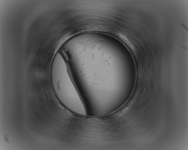 X0000093461089200710120945