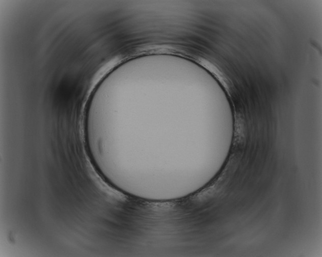 X0000093461090200710120945